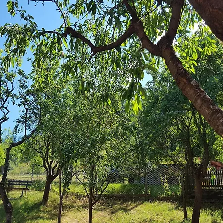 With Natural Garden, Cleaning Included * Unterweid